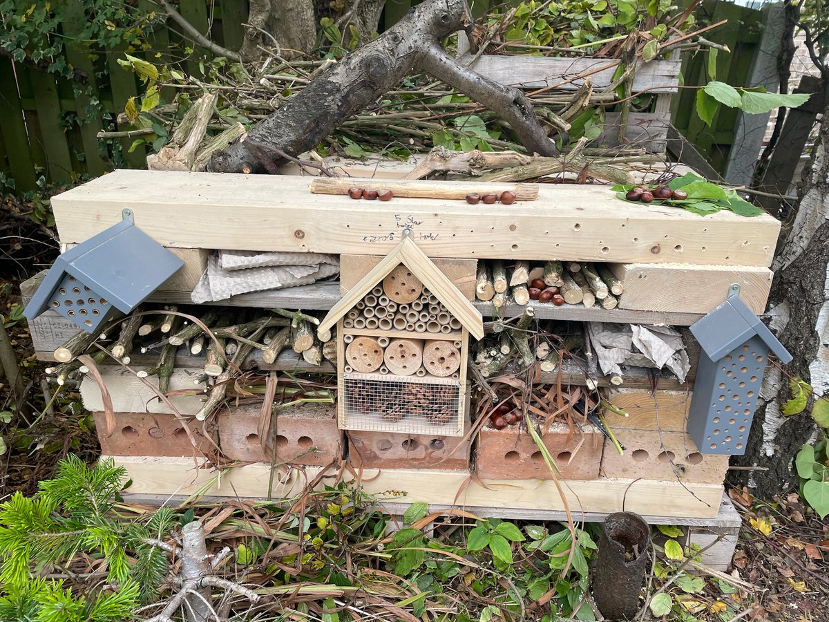 DigForHistory's tweet photo. @PrimaryBg - This weekend, Ezra enjoyed building a new bug hotel in the garden to help the environment &amp; help the birds &amp; hedgehogs in our garden. He also enjoyed learning some new skills with tools. 🐜🐞🐛🐦🦔🔨⚒️ - @JoburtonJo https://t.co/l3IpIbdy34