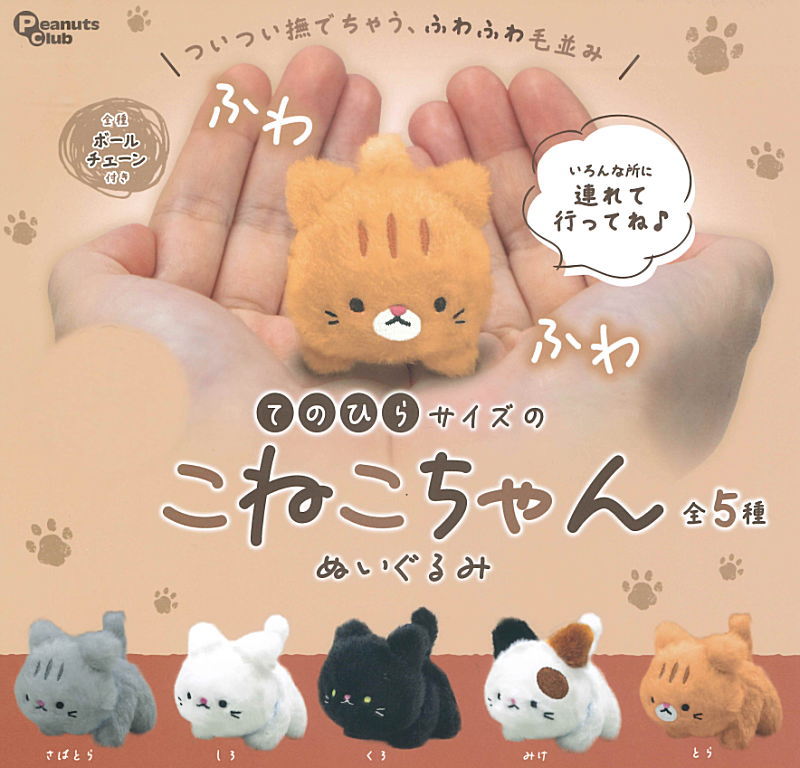 ✨新商品案内 2025年9月29日(月)✨／ ☑️てのひらサイズのこねこ