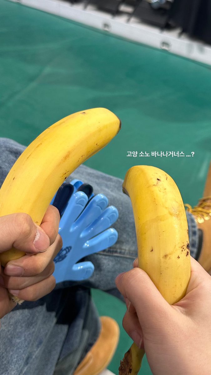 근데 진짜 최종 당황스러움은
챔비가 바나나를 준 것임
평소에도 창원 실체 가면 챔비 나랑 잘 놀아줬는데
바나나 받은 건 처음이라 너무 당황스러웟슨
나 심지어 소노 팬으로 간건데
걍 쿨하게 바나나 두 개 주고 떠남
고양소노바나나거너스됨,