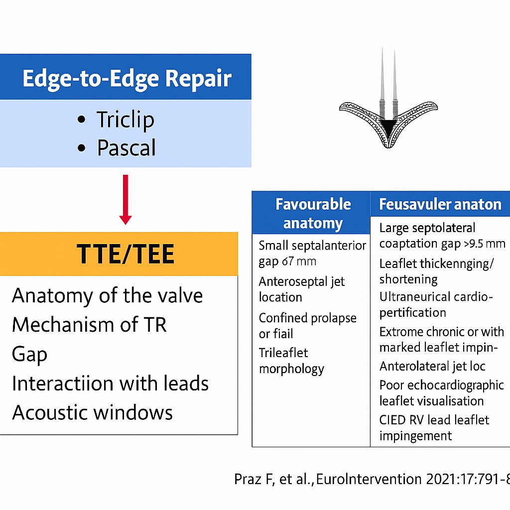 Bgheyath's tweet image. 1/3 Intro to  #Tricuspid therapies (a thread📌)
🔹 TTE/TEE → key for anatomy, mechanism &amp;amp; feasibility of edge-to-edge repair (TriClip, Pascal).
🔹 CT → essential for valve implant planning (orthotopic &amp;amp; heterotopic).

Credit: Drs. M. Alasnag &amp;amp; A. Merdad
#PCRGulfValves