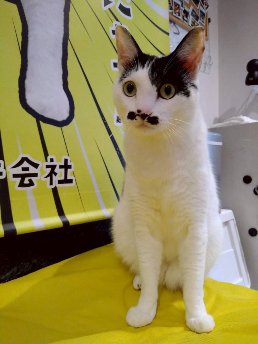 しぃな 300.jpg