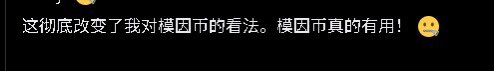 tweet item media