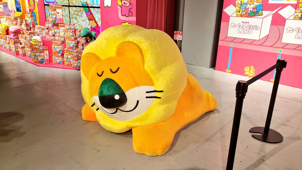 しばライオン ホワイトライオン | 動物図鑑 | ZFC.jp