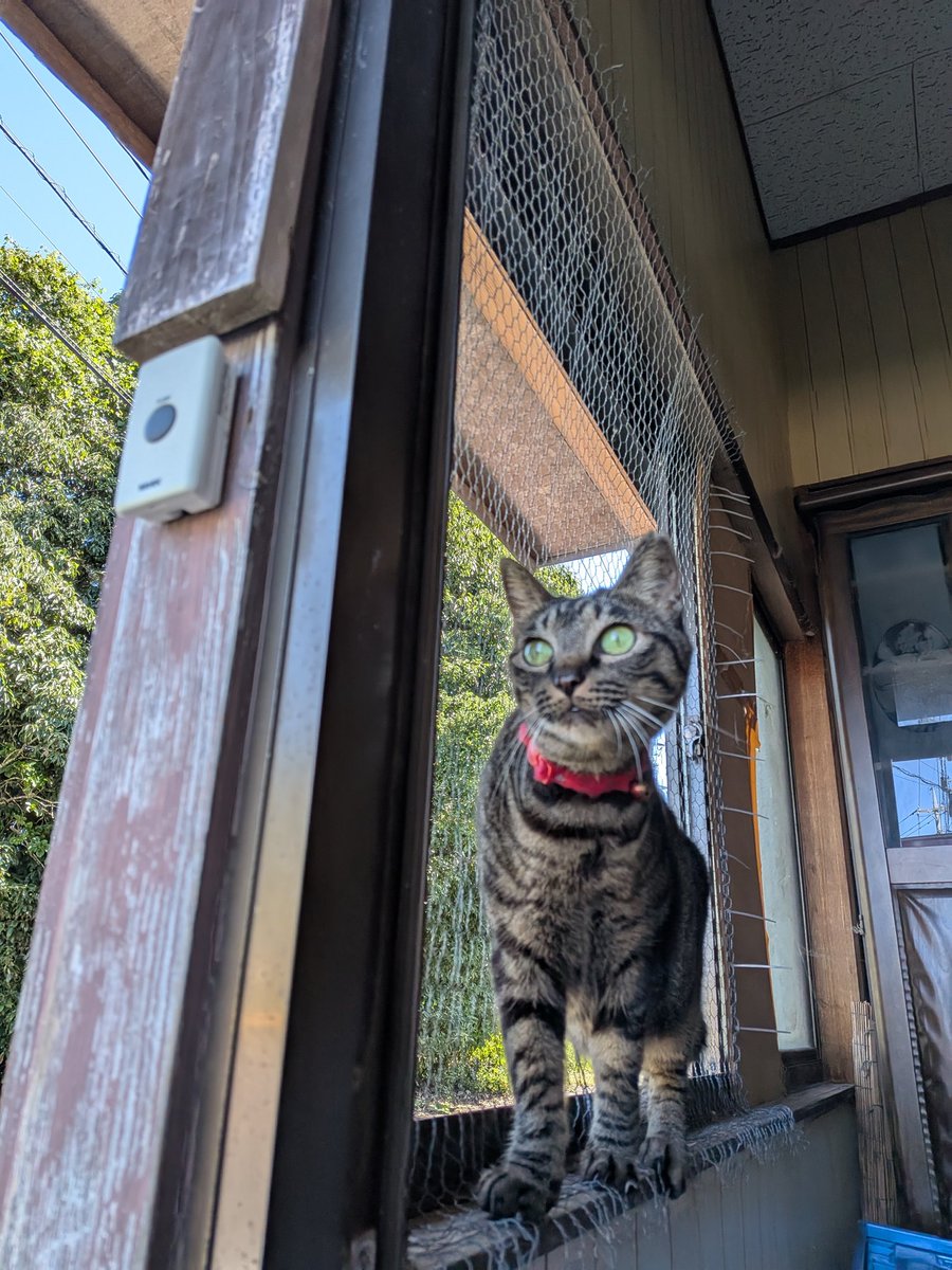 近藤ようこ (@suikyokitan) / X