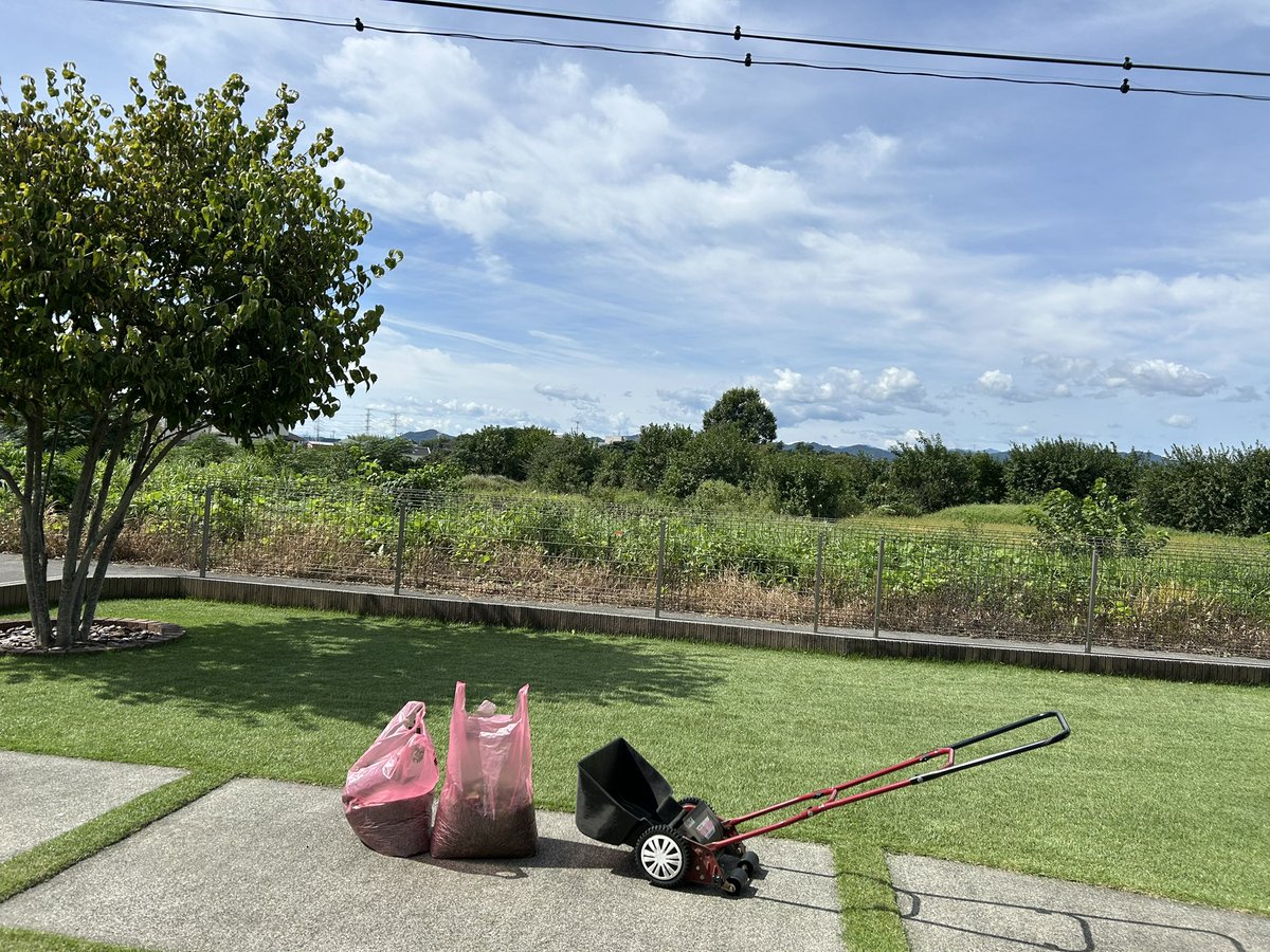 9月3日以来の芝刈り、13回目。伸び過ぎたので最初20ミリから次に15ミリ。刈った芝20L袋にいつもは一つだけど今回は二つ。涼しさ求めて山に逃げてたけど反省してちゃんとお世話しよう😅＃芝生 ＃TM9