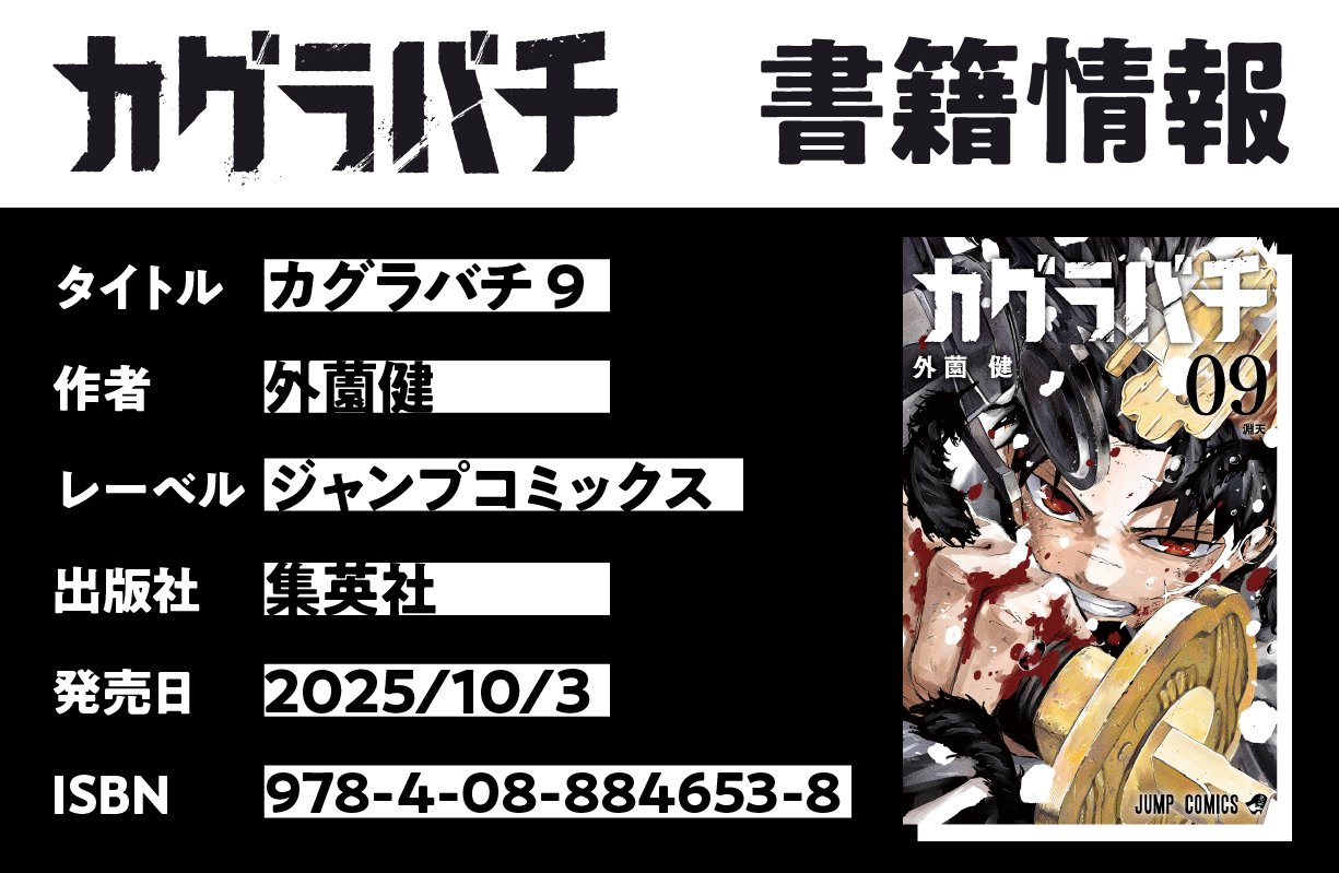カグラバチ　ポスター　当選証明つき カグラバチ3巻ポスター 当選品 当選証明書 箱付き k-c-b-431-3