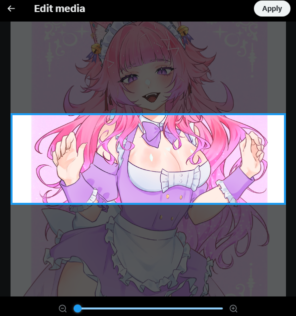 UGH I cant seem to fit this as my banner...