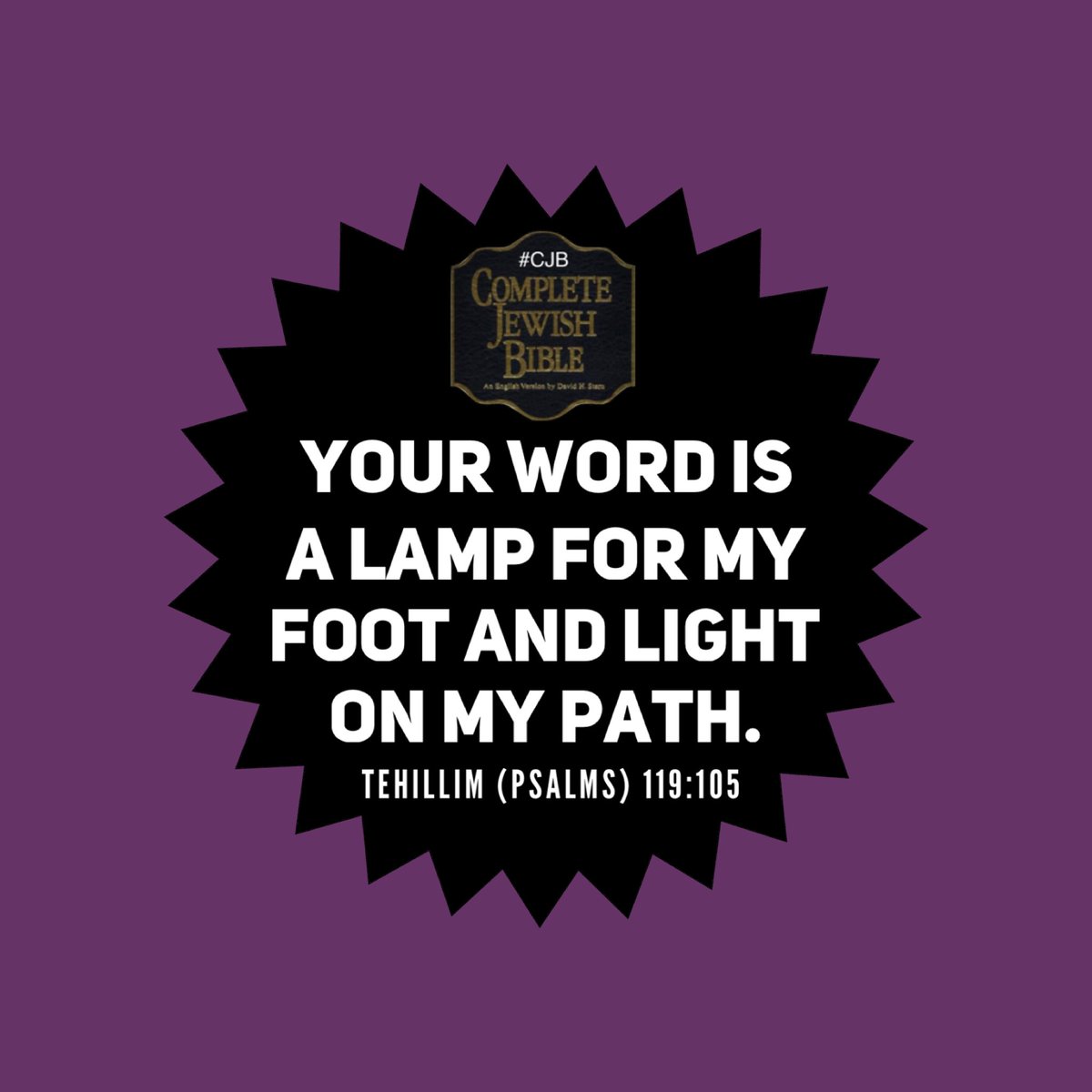 davidsternCJB's tweet image. Tehillim (Psalms) 119:105 #CJB #CompleteJewishBible #VerseOfTheDay