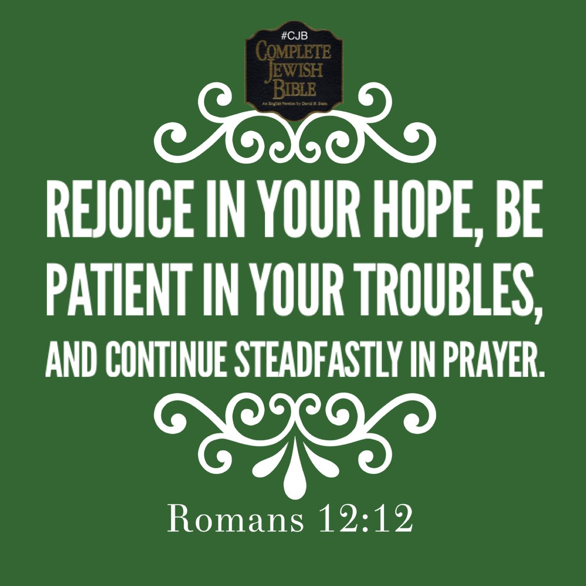 davidsternCJB's tweet image. Romans 12:12 #CJB #CompleteJewishBible #VerseOfTheDay