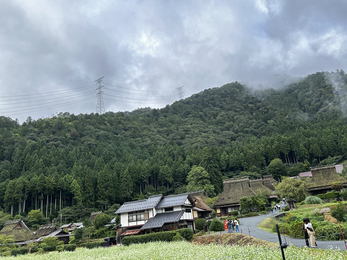 昨日のツーリング🏍👫
京都 美山かやぶきの里🍦🏔´-
アイスクリーム、めっちゃ濃厚で美味い！
かき揚げも唐揚げ最高ง🍙ว 

雨降るとは聞いてない🤮
久しぶりに寒さを
感じながら走りました😂暖かい蕎麦がしみる☺️
かやぶき民家素敵ですね🏠
蕎麦の花が沢山咲いてました❁⃘