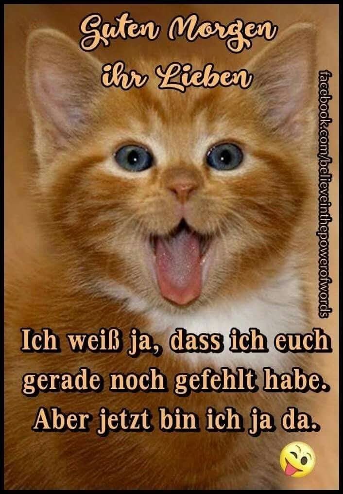 Hallo ihr Lieben👋, ich🙋‍♂️ wünsch euch allen👨‍👩‍👦‍👦 nen schönen guten Morgen🌄. Kommt stressfrei durch den Tag und zieht euch wärmer an🌡. Der Kalender-Herbst ist da und zeigt es auch🤧. So, der Kaffee☕🫖 läuft. Passt auf euch auf und bitte bleibt/werdet Gesund. 🫂💗🌷🌻🙏