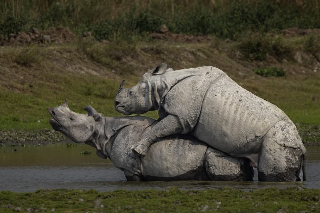 Prashant pandey tweet media