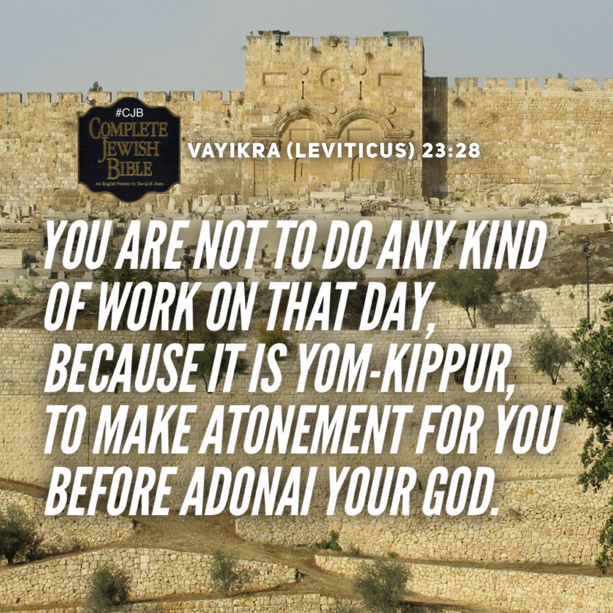 davidsternCJB's tweet image. Vayikra (Leviticus) 23:28 #CJB #CompleteJewishBible #VerseOfTheDay