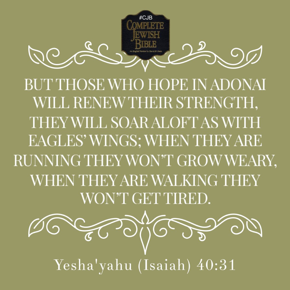davidsternCJB's tweet image. Yesha&apos;yahu (Isaiah) 40:31 #CJB #CompleteJewishBible #VerseOfTheDay