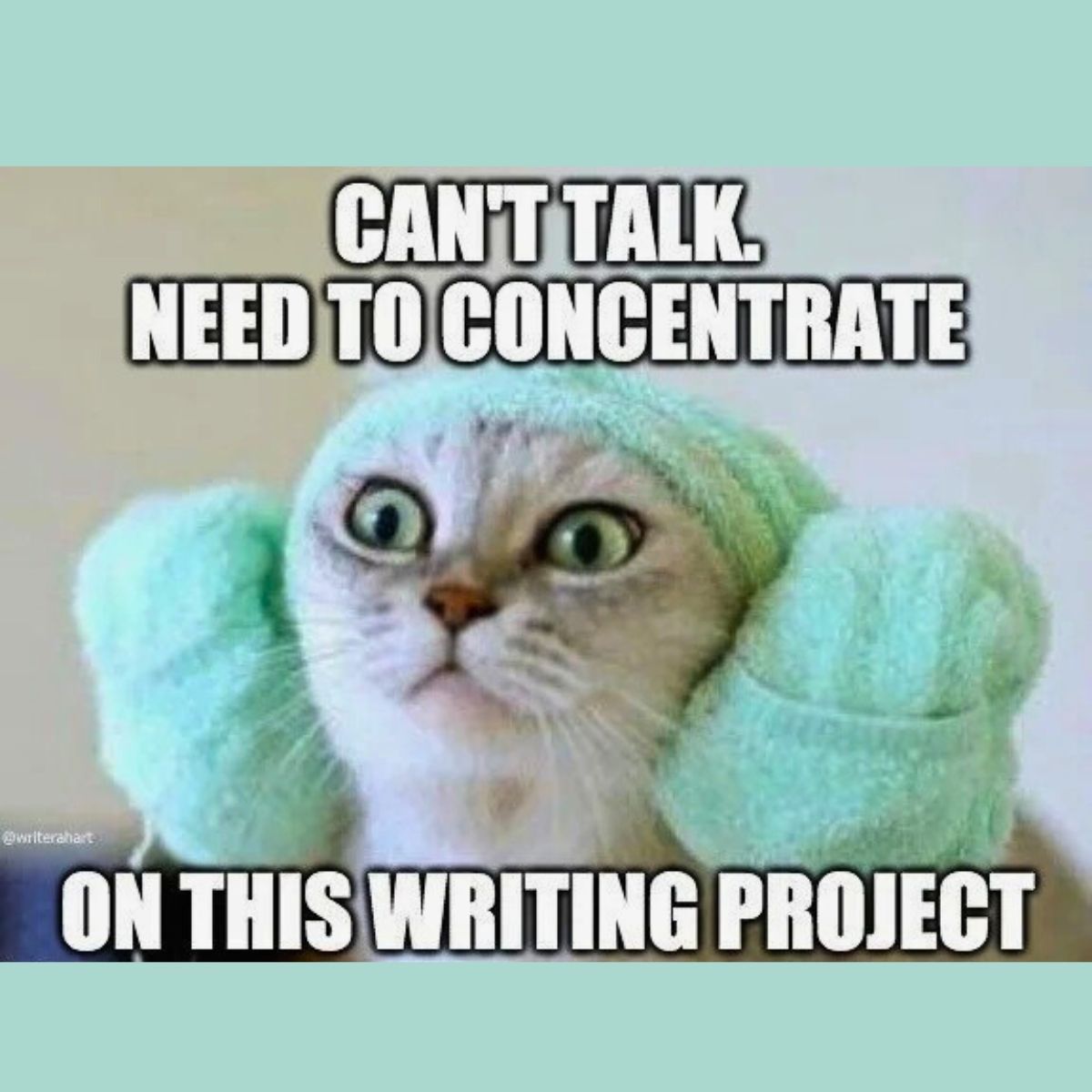 Mandy Johnson tweet media