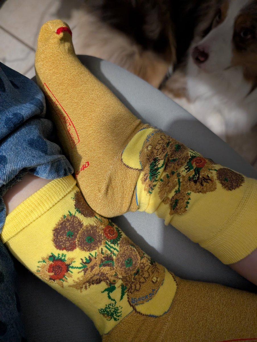 L i (♡ˊ͈ ꒳ ˋ͈) tweet media