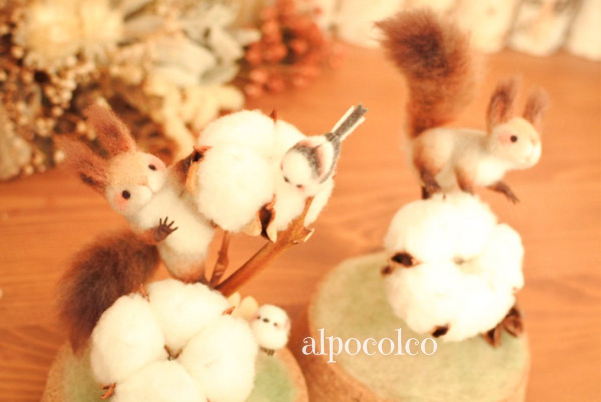一番好きな季節がくる〜🐿️