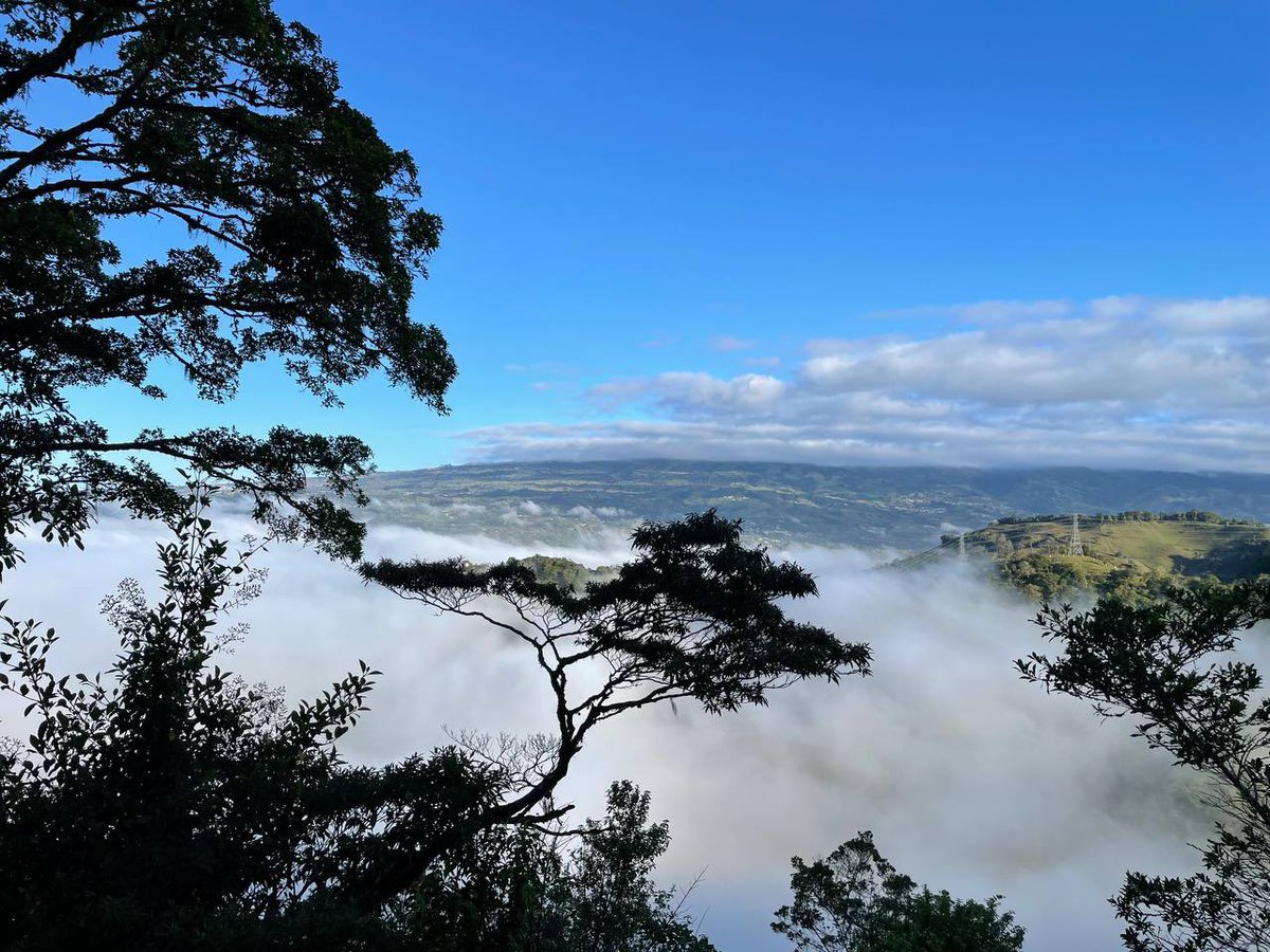 GM GN familia! ☕️ Come visit Costa Rica and have a cup of coffee with a view 😍