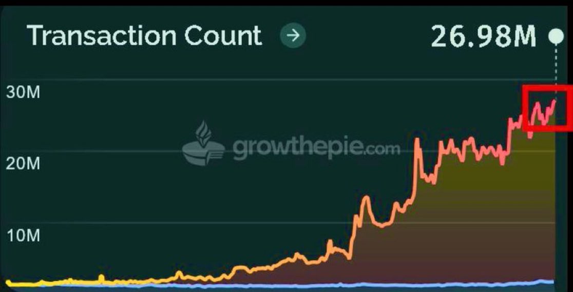 قُصَيْمِـ⧫ـث tweet media