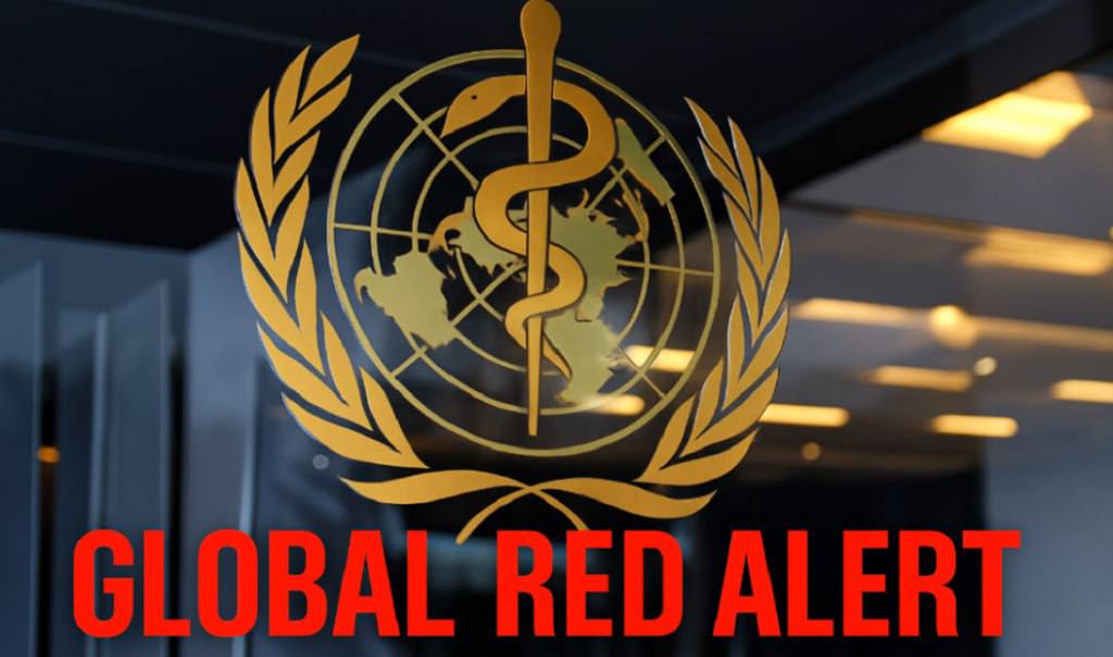 GLOBAL RED ALERT: THE WHO IS MOVING TO SEIZE TOTAL MEDICAL POWER — WITHOUT CONSENT, WITHOUT A VOTE, WITHOUT ESCAPE. THIS IS NOT A TREATY, IT IS A GLOBAL COUP.

Please Follow &amp; Repost!