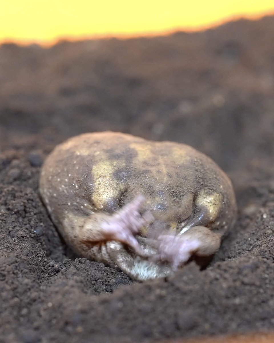 Don't take pictures📷
撮らないで📷