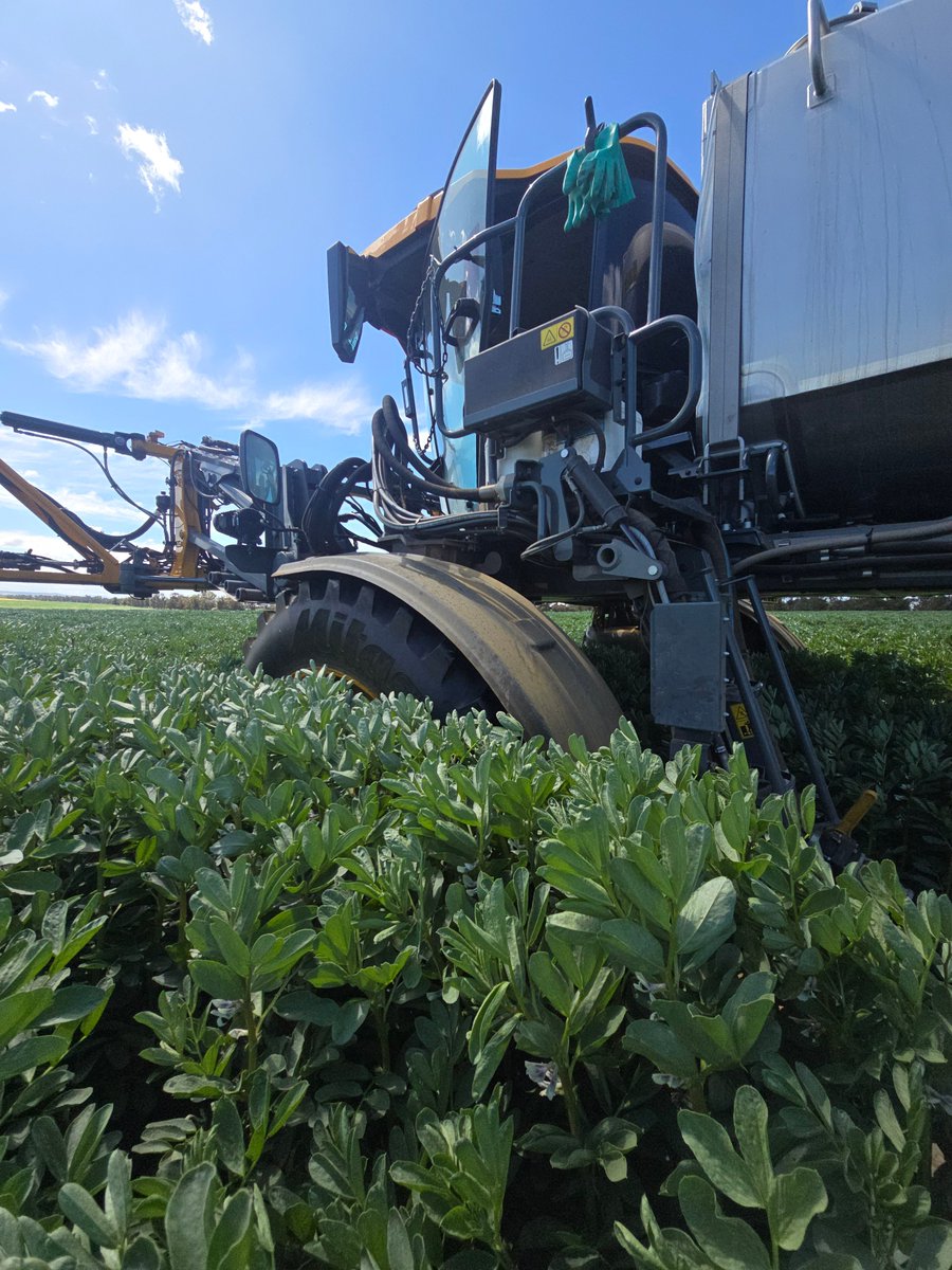 Broden holland tweet media