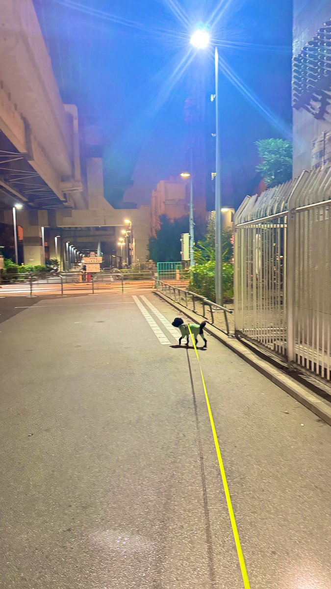 雨が降ってても
ここなら快適に歩けるんだ