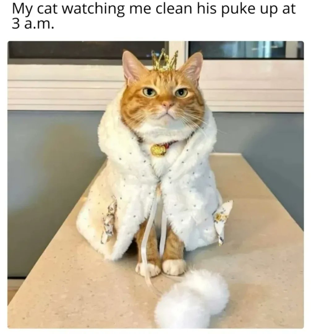 🤣🤣🤣🤣🤣🤣🤣🤣🤣