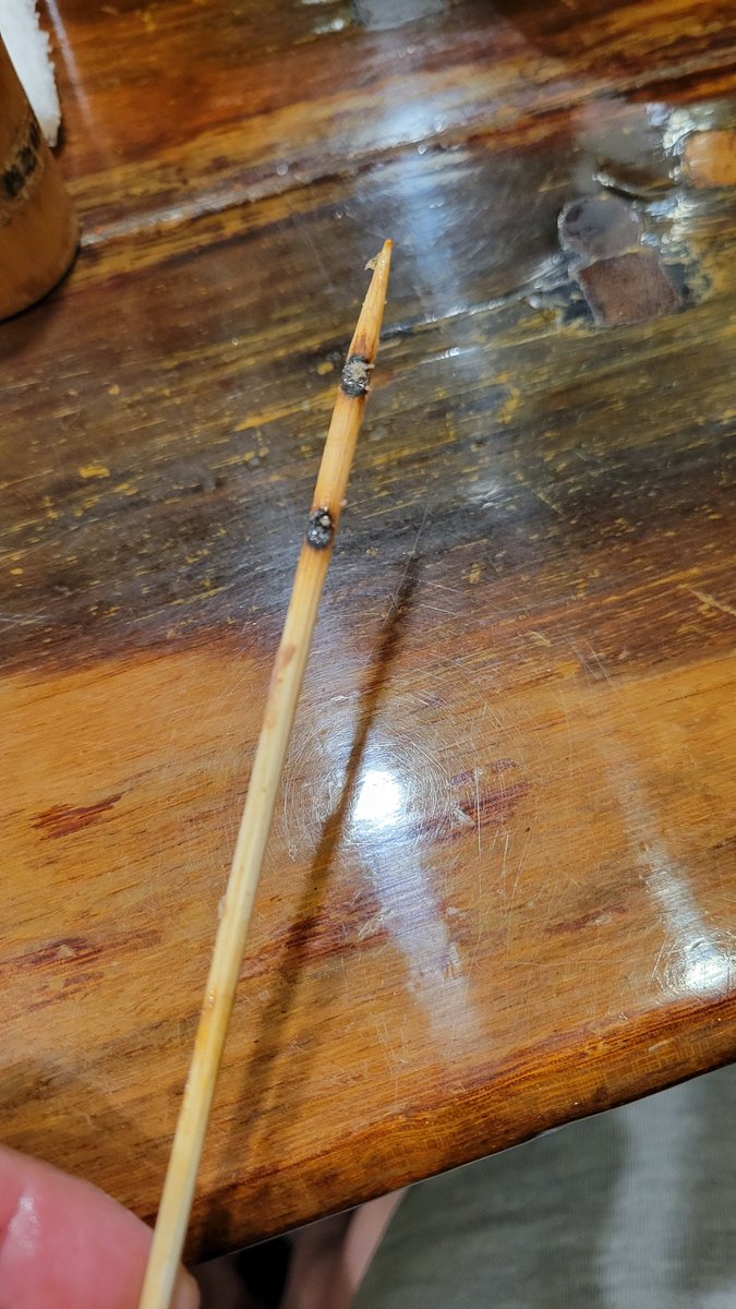 大吉に行きました。
良いことあるかなと思っていたら、最初の1串目で辺りを引きました。
先頭打者ホームランを打った気分😁
打ったことないけど😍