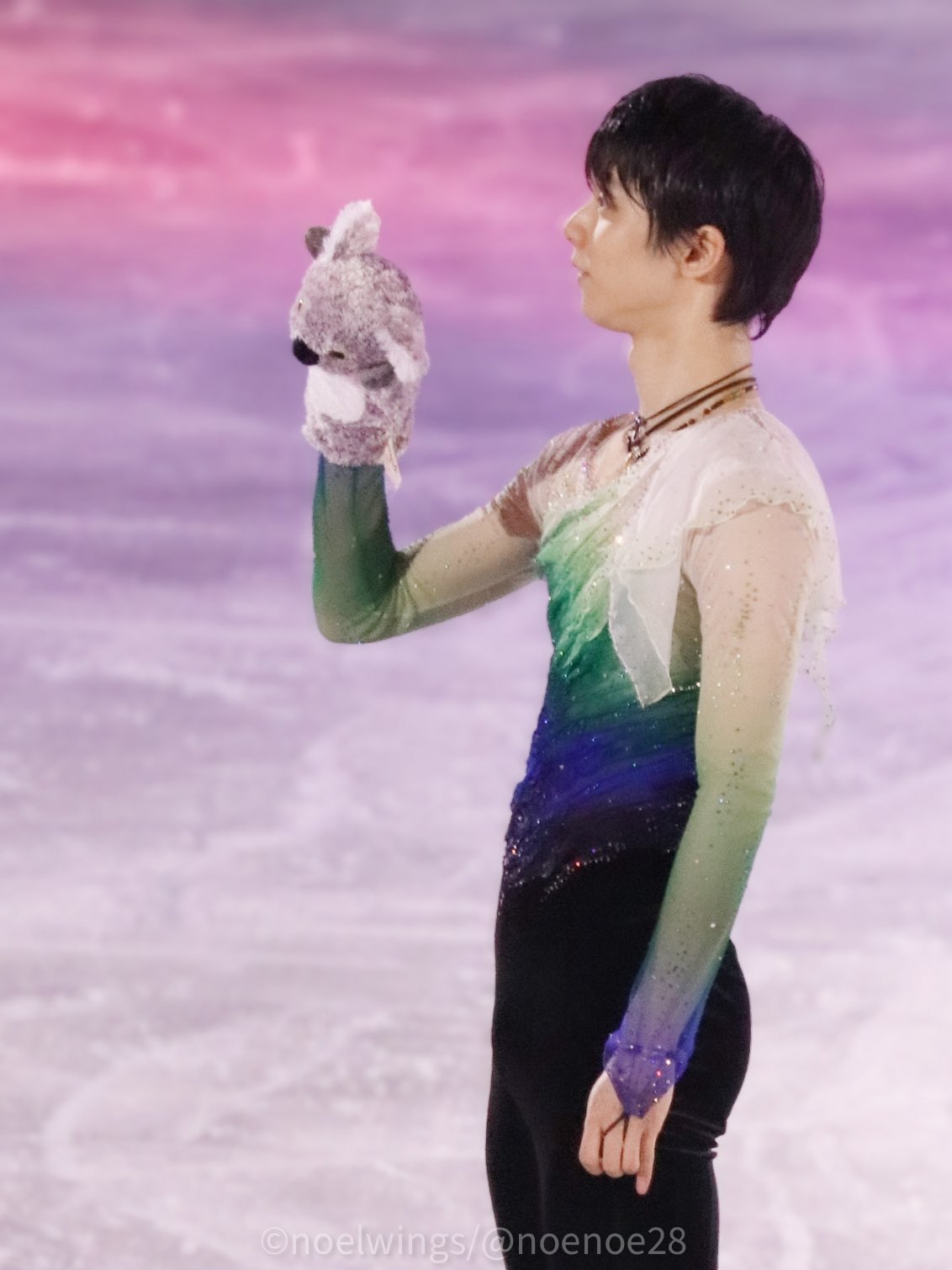 コアラ パペット ぬいぐるみ 羽生結弦選手 ノエル🌌)))）🪽⛸🧊 on X: 