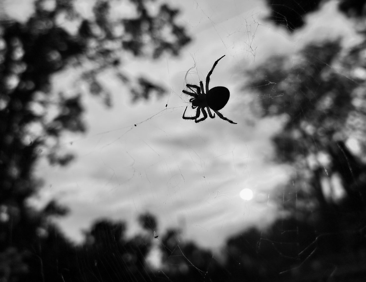 Jeff Cook (@jeffcook58) on Twitter photo 