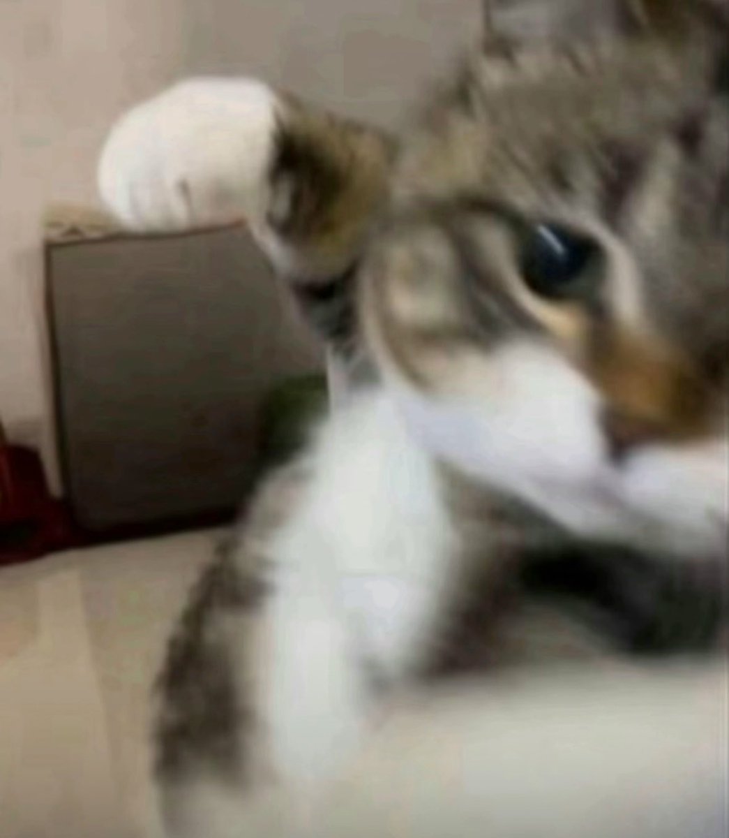 yeah no, kindly fuck off