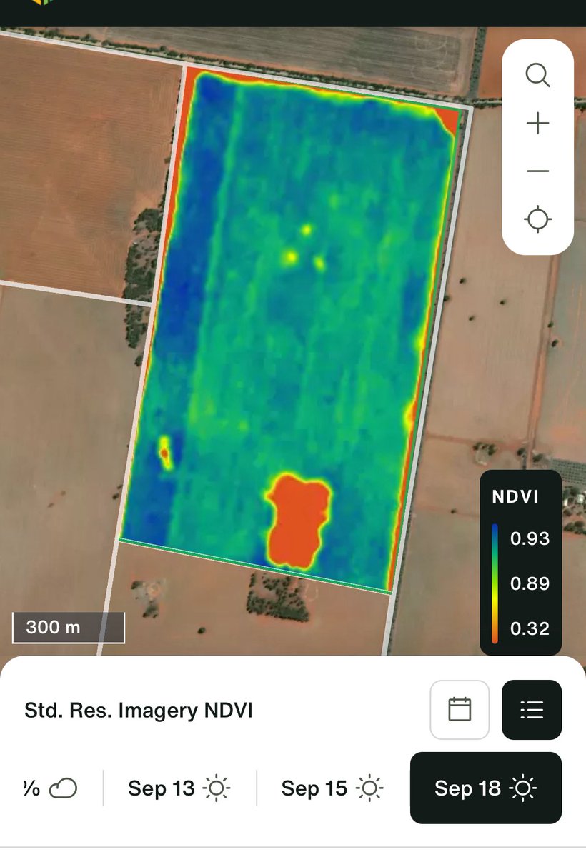 Seed increase block of Goldie v Mitika. Goldie 10-15 cm taller and stayed green through dry early spring (left side of NDVI image). Oats will be a major topic at Ganmain Field Day tomorrow with <a href="/GarrenKnell/">Garren Knell</a> presenting on agronomy leanings from WA 
grdc.com.au/events/list/20…