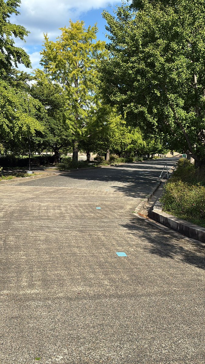 休日ランニング
#ビッグスワン