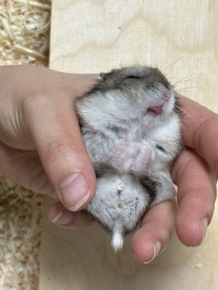 미선씨 tweet media