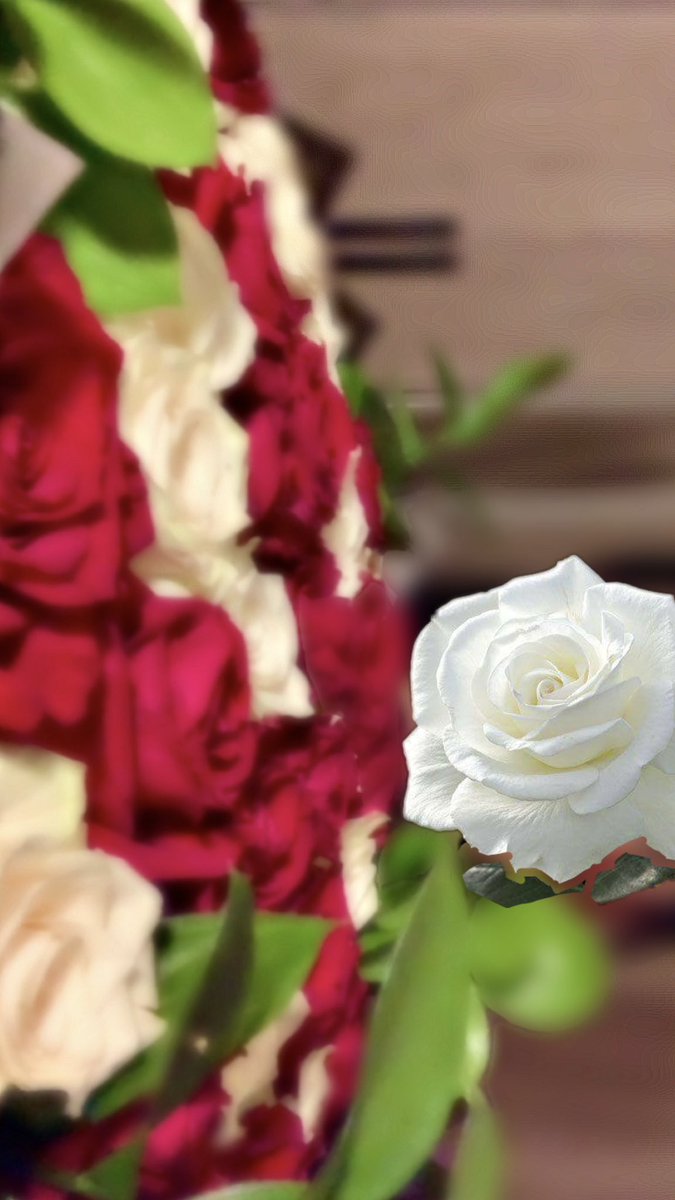 لو تشبهين الورد يبقى الاختلاف 
الورد يذبل وأنتِ دايم فاتنه🌹❣️.