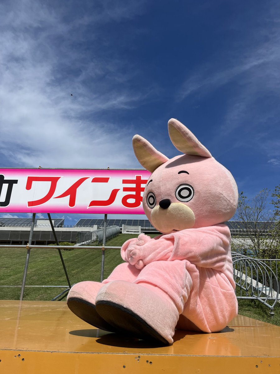 桃色ウサヒ やさた on X: \"最近、桃色ウサヒにハマりすぎて作ってしまった。 本人