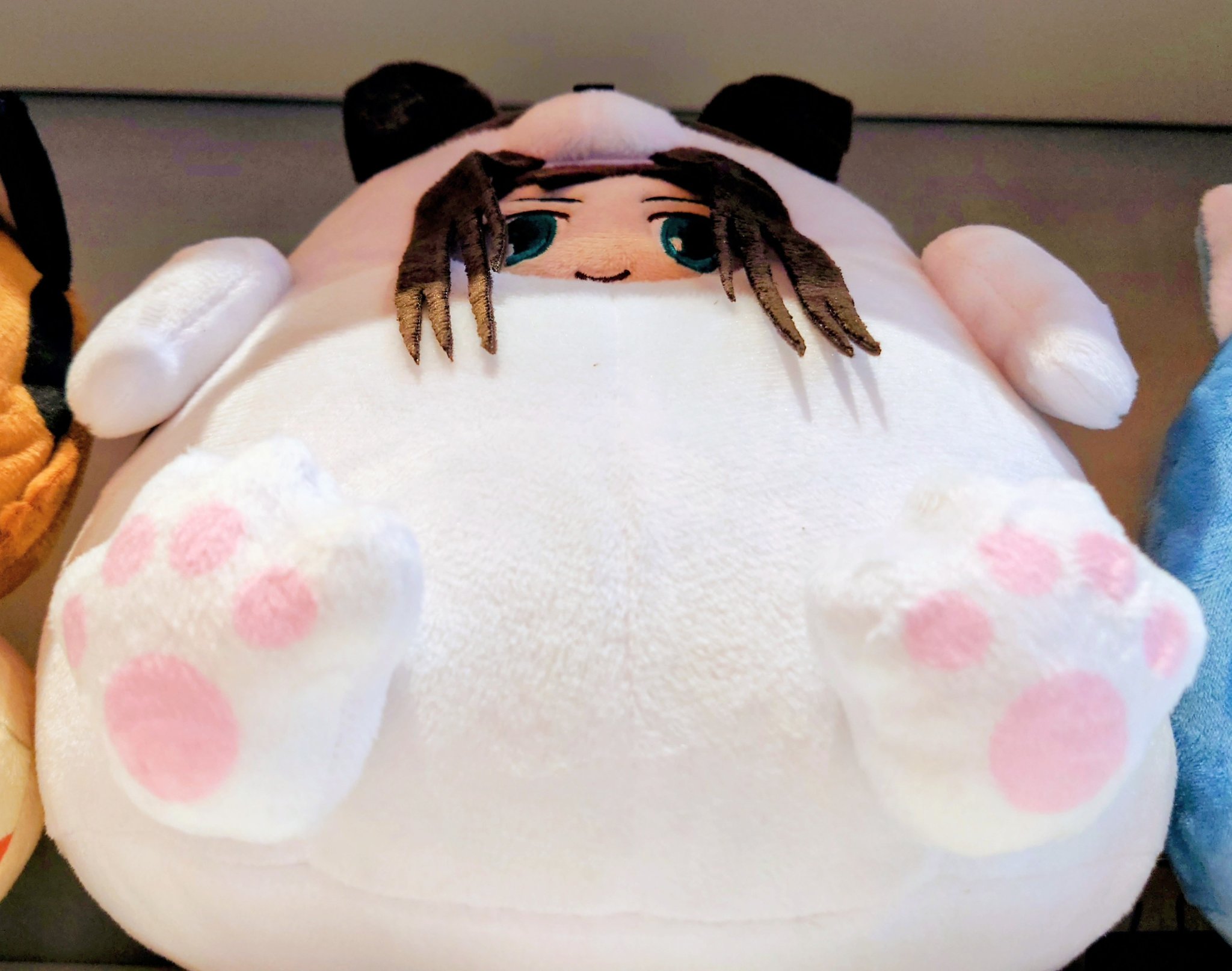 たまさんS たまさん🐈 (@s_tamaLE) / X