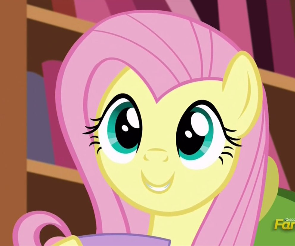 The Same Picture Of Fluttershy Every Day tweet media