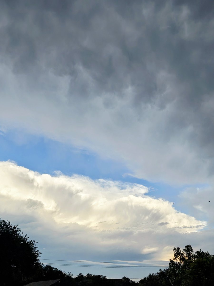 LaughingFQX1776 (@laughingfqx1776) on Twitter photo 