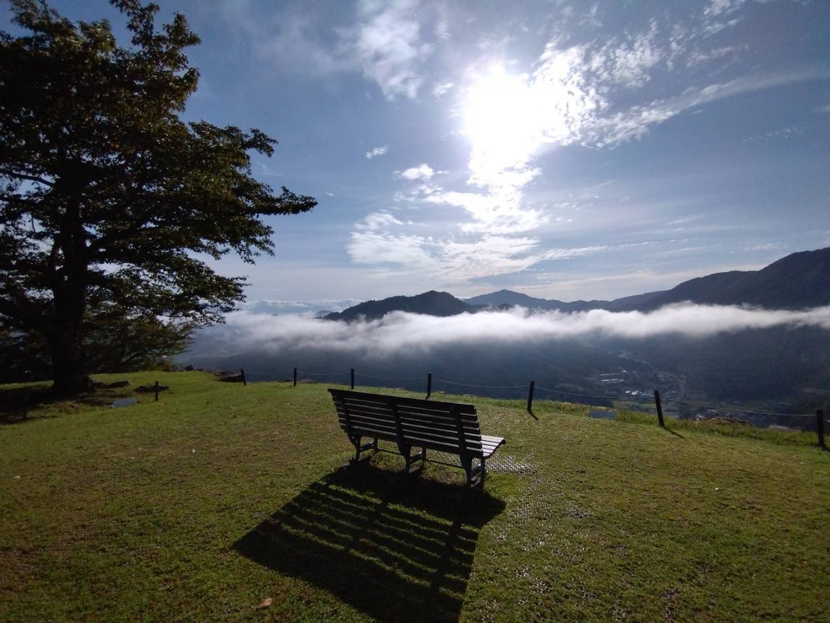 爽やかなな月曜日、おはようございます！
霧が晴れて、すーっと一筋の雲☁️
彼岸花も咲き始めて、秋らしくなってきました