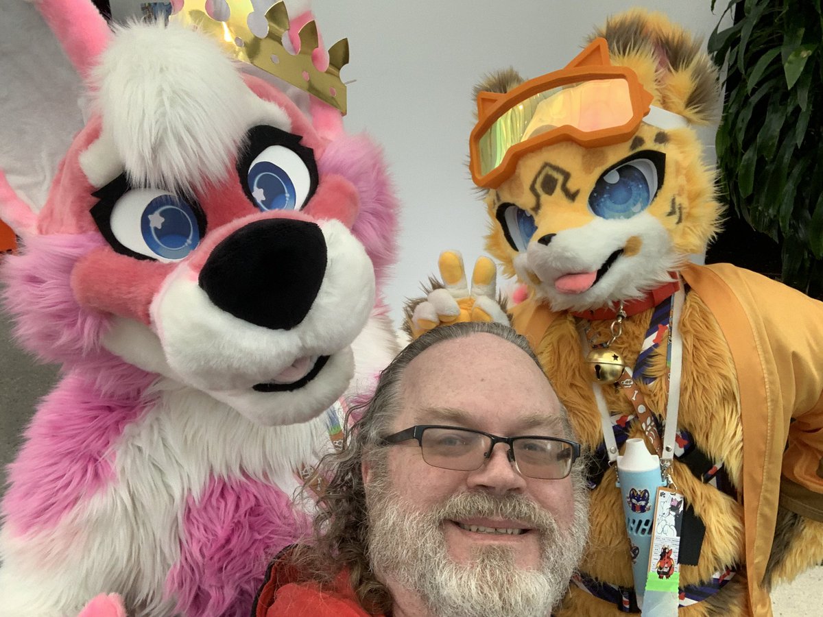 Primal Bruce tweet media