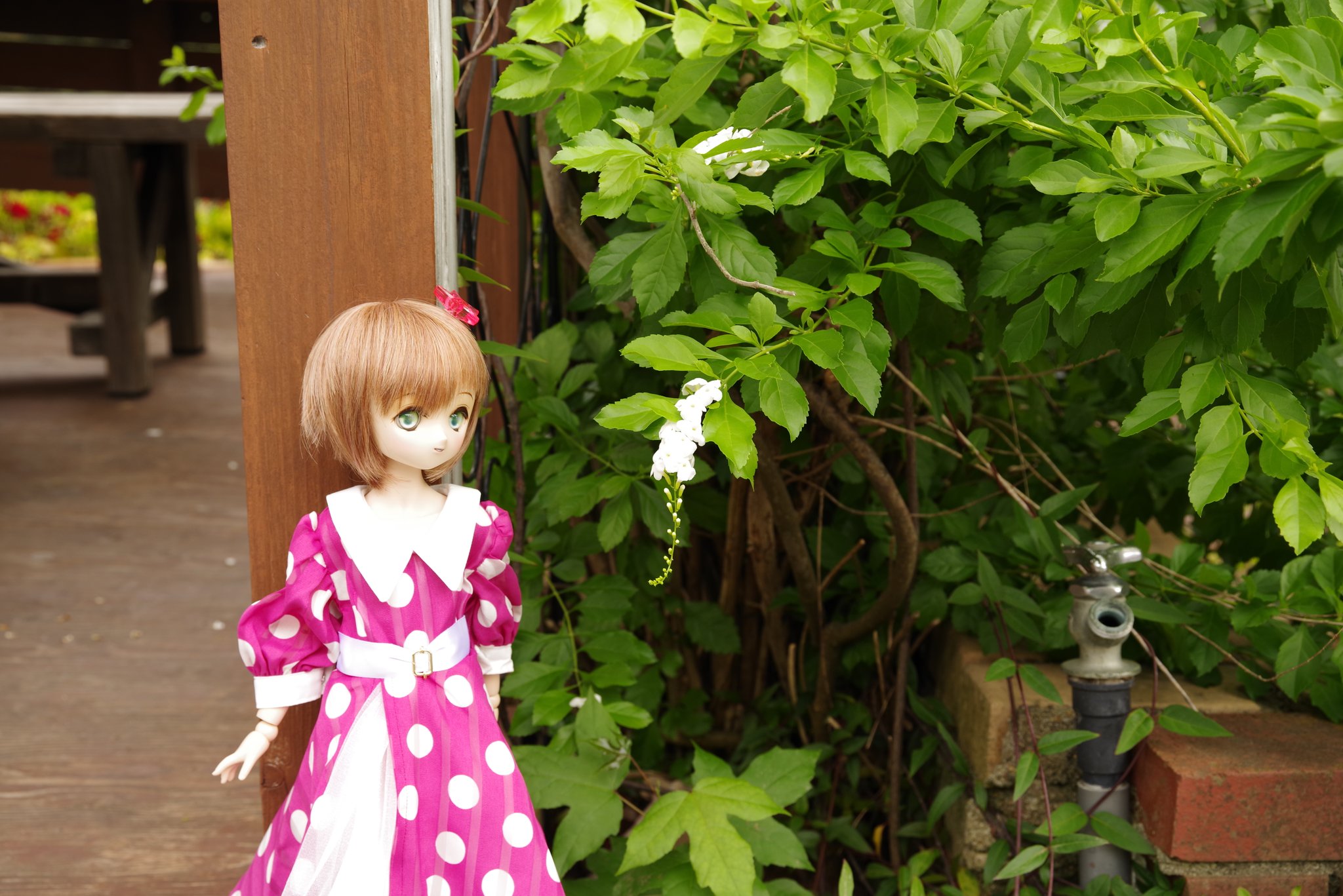 BarCode (@barcode355) / X