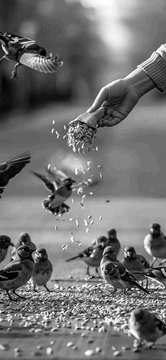 بعض الناس أغنياء بطرق لن يفهمها الآخرون أبدا ....✨

𝓼𝓪𝓫𝓪𝓱 𝓪𝓵𝓰𝓫𝓸𝓾𝓻𝔂