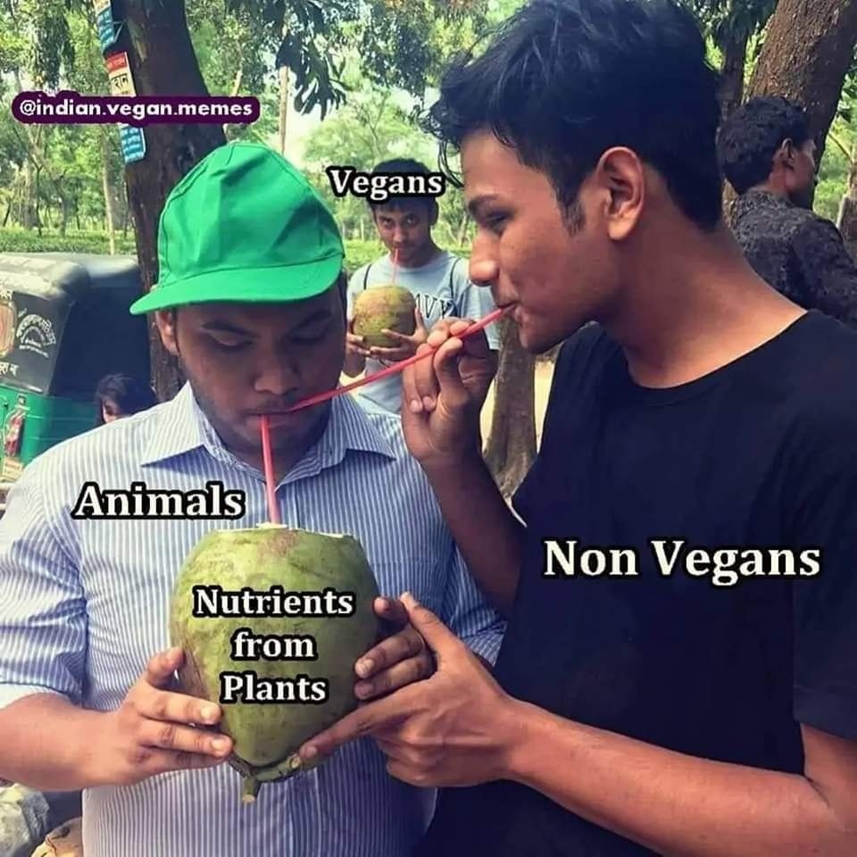 Brian Cruikshank tweet media