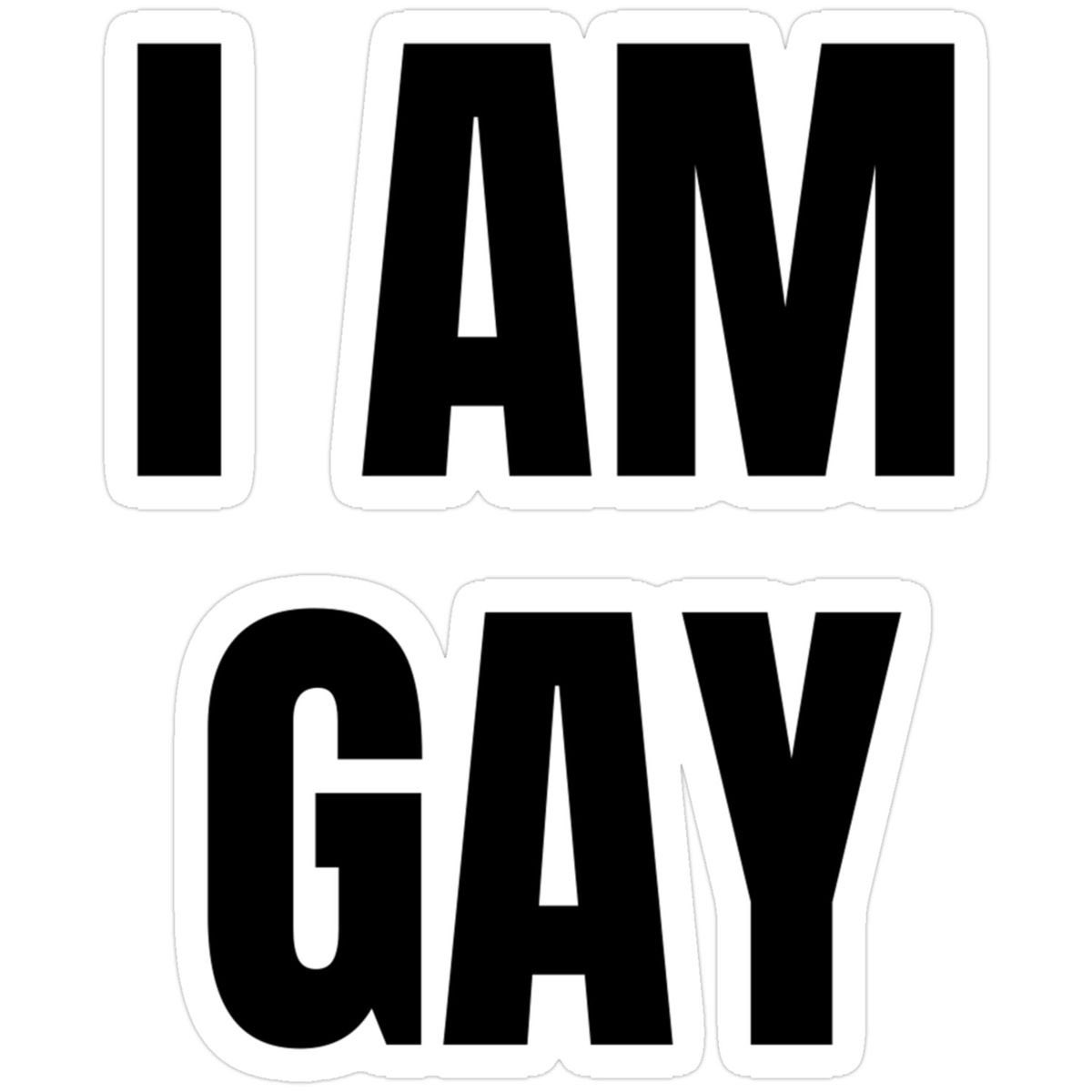 Proud Gay 🏳️‍🌈.    #fyp #gay