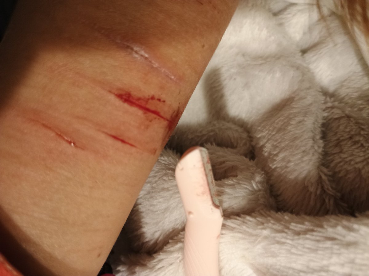 sdjofshtwt's tweet photo. Starting a really small styro session idk if I'll continue #shtwt !! https://t.co/qcQs8CSzVf