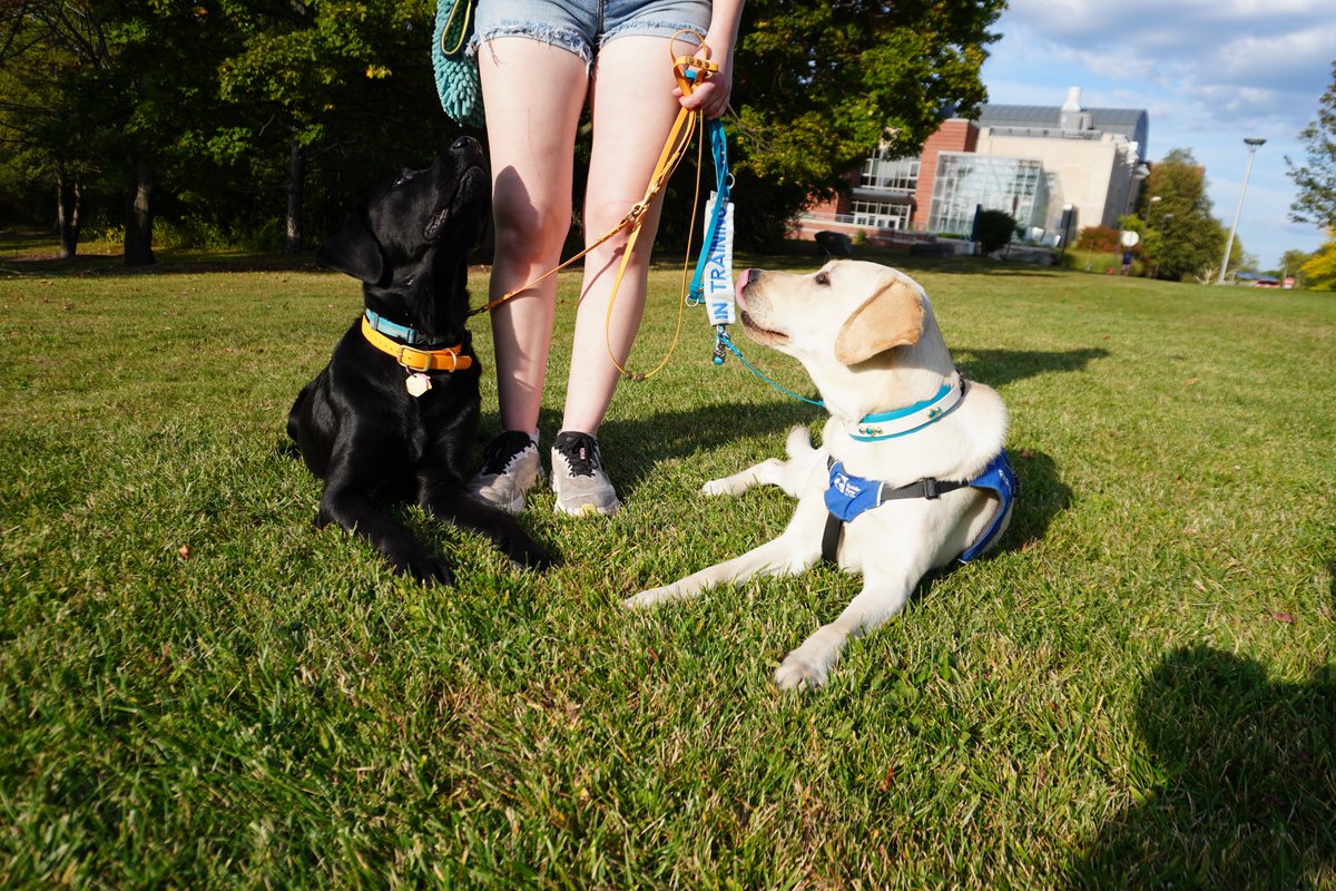 Ally Mahoney tweet media