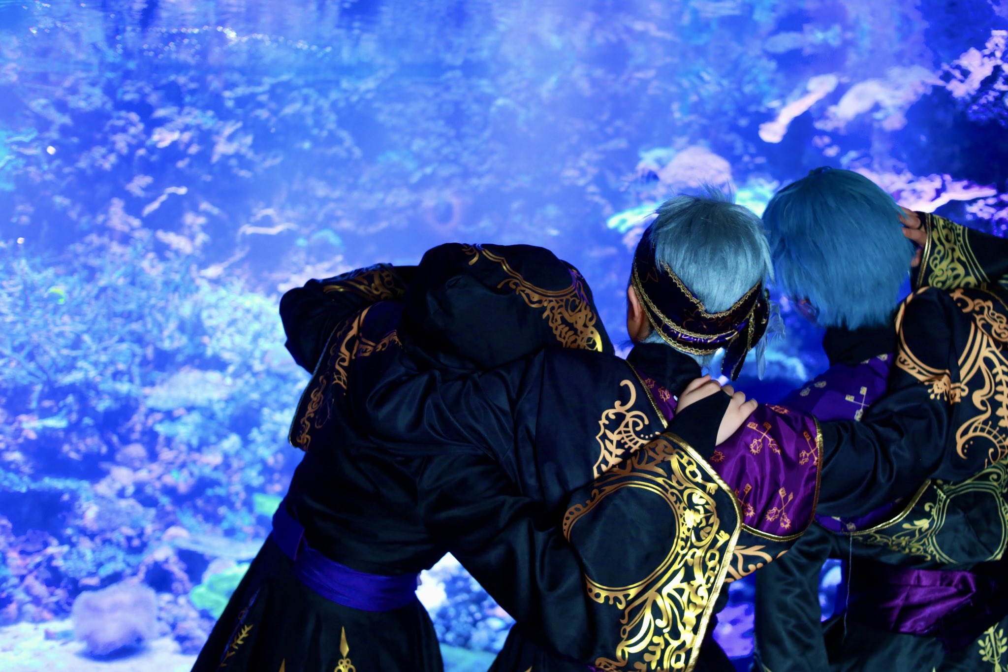 White Wig Order【無期限ｵｰﾀﾞｰ停止中】 (@orderwig_WWO) / X