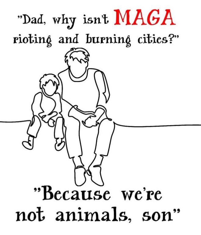 Robert B Gibson 🇺🇸🍊 tweet media